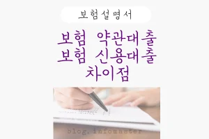 보험약관대출