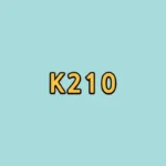 질병코드-k210-보험-청구