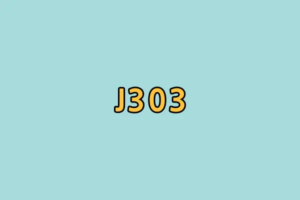 질병코드-j303-실비청구