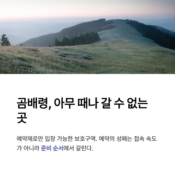 곰배령 정상부의 야생화 평원과 완만한 능선이 펼쳐진 전경