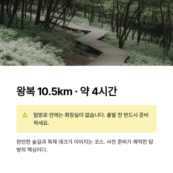 곰배령 강선리 탐방로의 완만한 숲길과 목재 데크, 왕복 약 10.5km 코스의 분위기를 보여주는 이미지