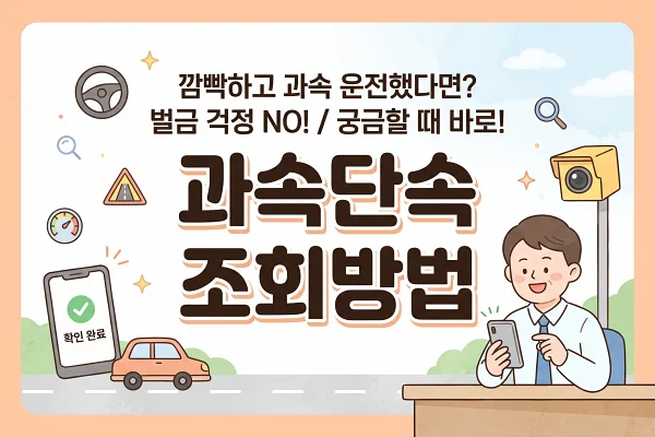 과속 단속 조회