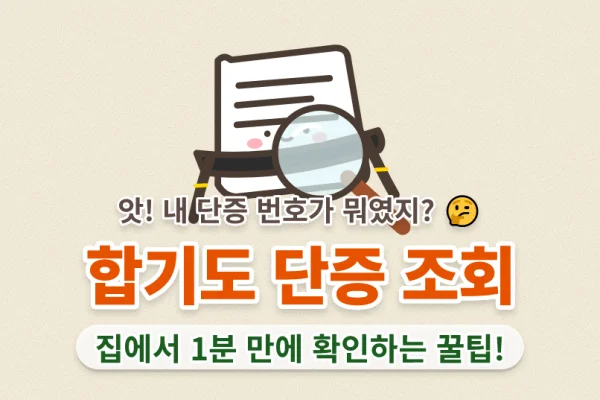 합기도 단증 조회 가산점 인정 협회부터 발급 방법까지 총정리